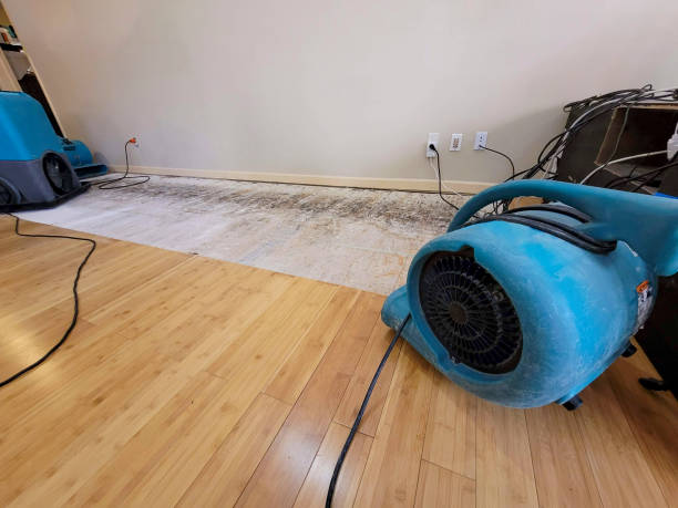 Professional Sewage Cleanup technician working in Madison, TN